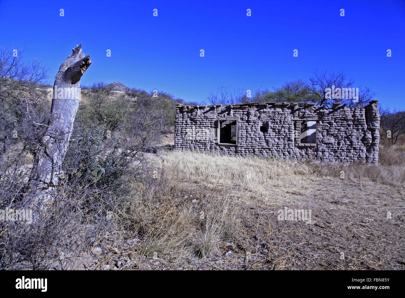 Esempio di un inizio di dimora fatta di Adobe nel sud-ovest del Deserto di Sonora. Un centinaio di anni e abbandonati. Foto Stock