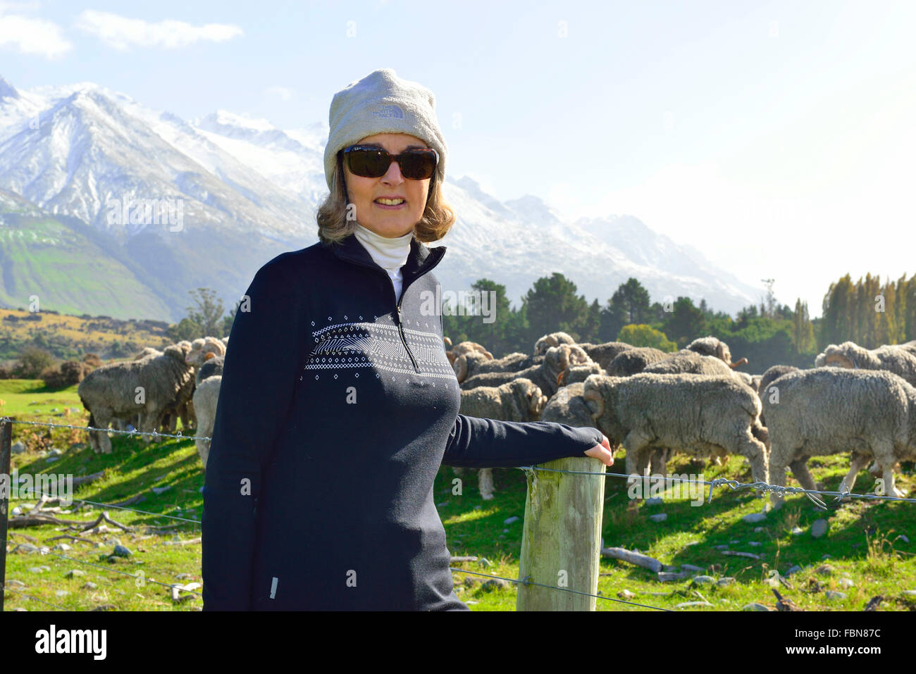 La modellazione di donna Icebreaker brand black pullover realizzato da lana di pecora merino accanto pecore merino su una stazione di pecora Nuova Zelanda Foto Stock