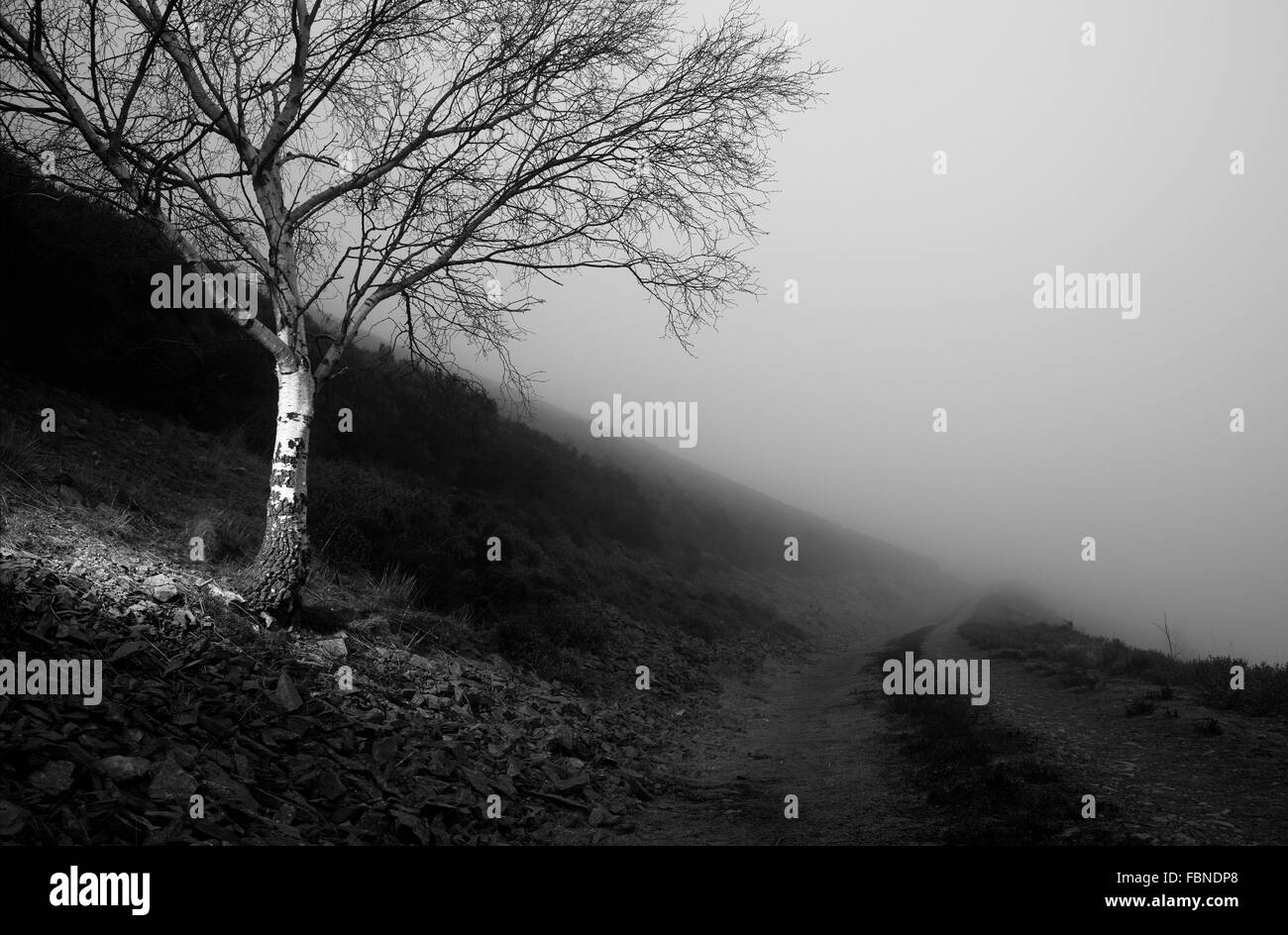 Fotografia di © Jamie Callister. Offa's Dyke sentiero 12 Febbraio 2015 Foto Stock