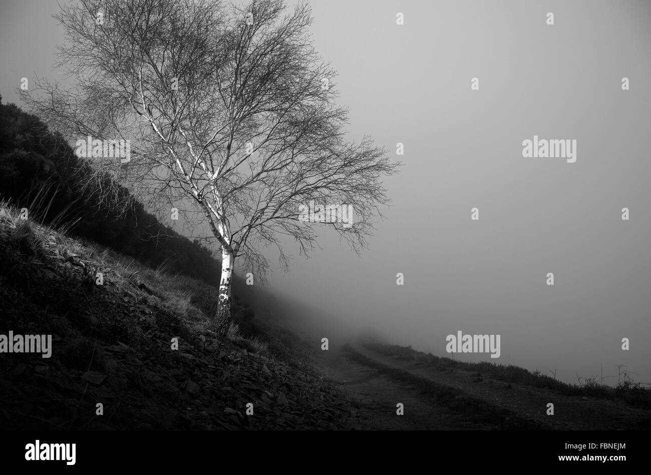 Fotografia di © Jamie Callister. Offa's Dyke sentiero 12 Febbraio 2015 Foto Stock