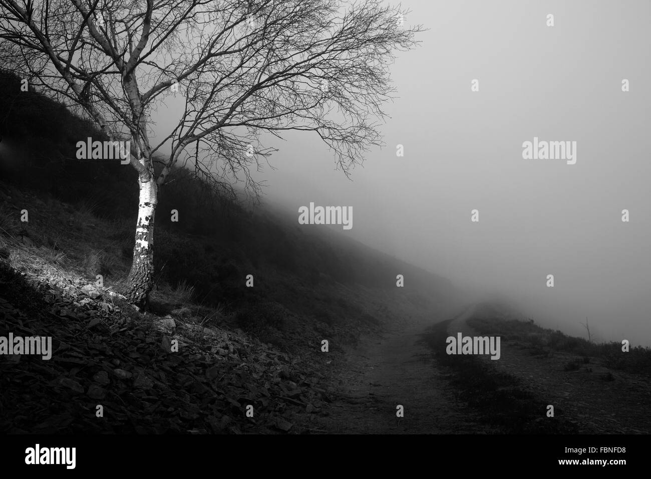 Fotografia di © Jamie Callister. Offa's Dyke sentiero 12 Febbraio 2015 Foto Stock