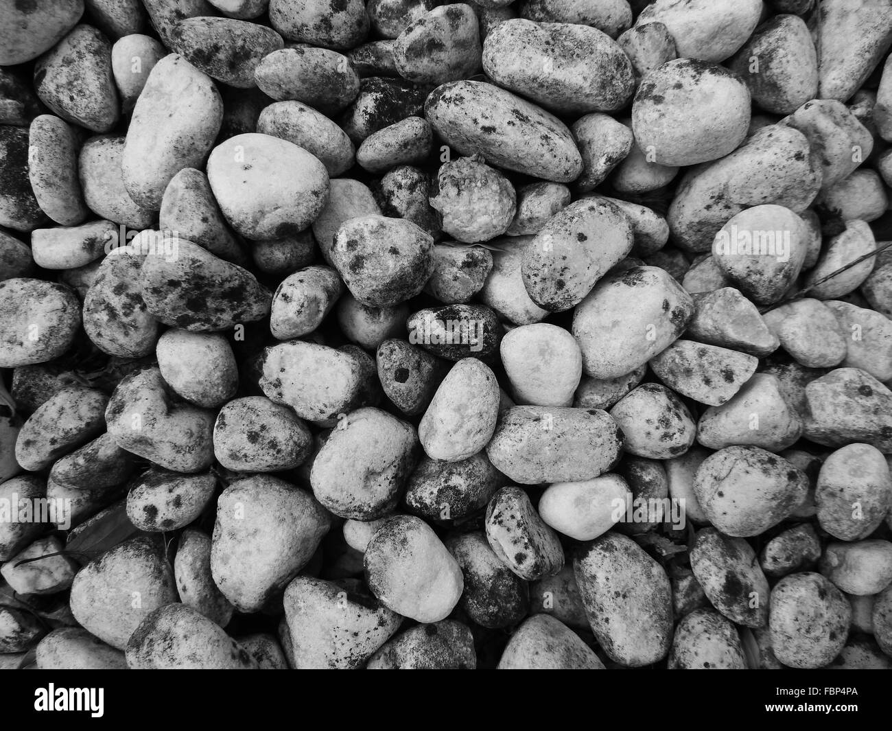 Un sacco di pietre in un giardino Foto Stock