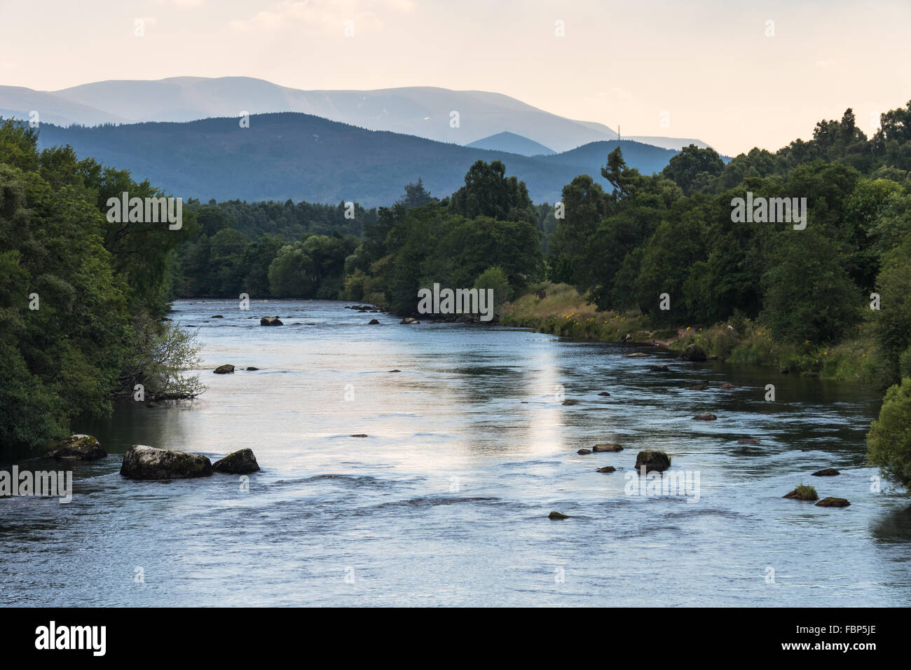 Il Fiume Spey vicino a Boat of Garten Foto Stock