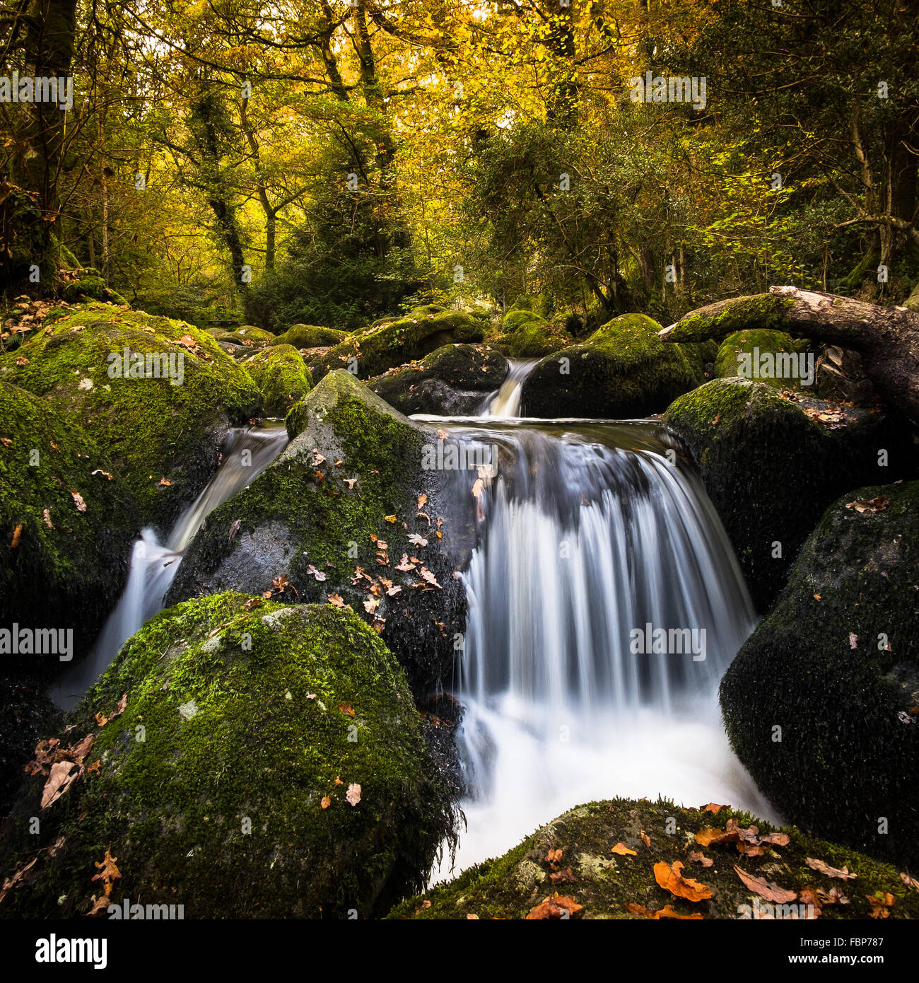 Una cascata nel bosco in autunno Foto Stock