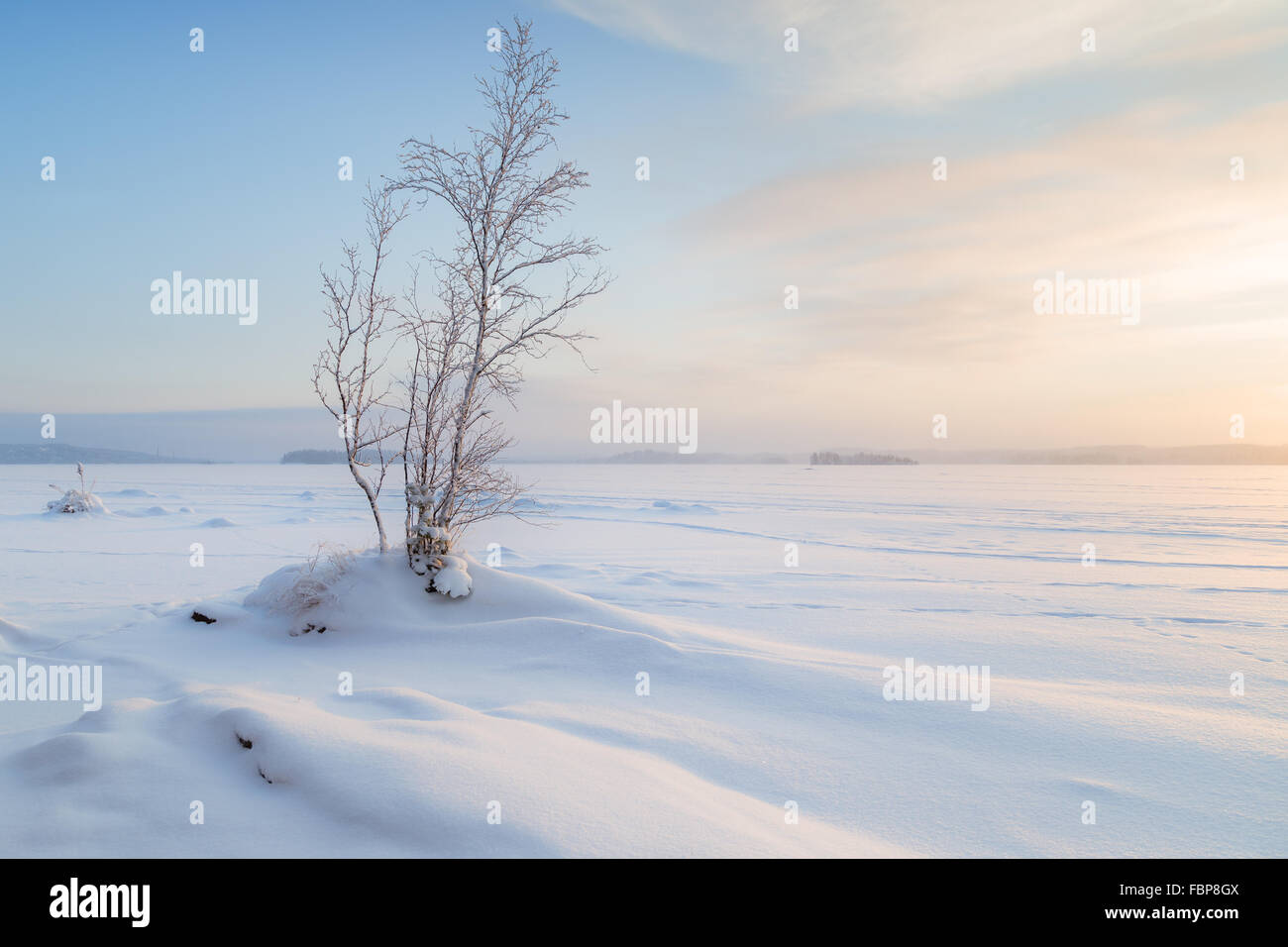Una coppia di alberi innevati, snowbanks e congelati e lago innevato a Tampere, in Finlandia in una giornata di sole in inverno. Foto Stock