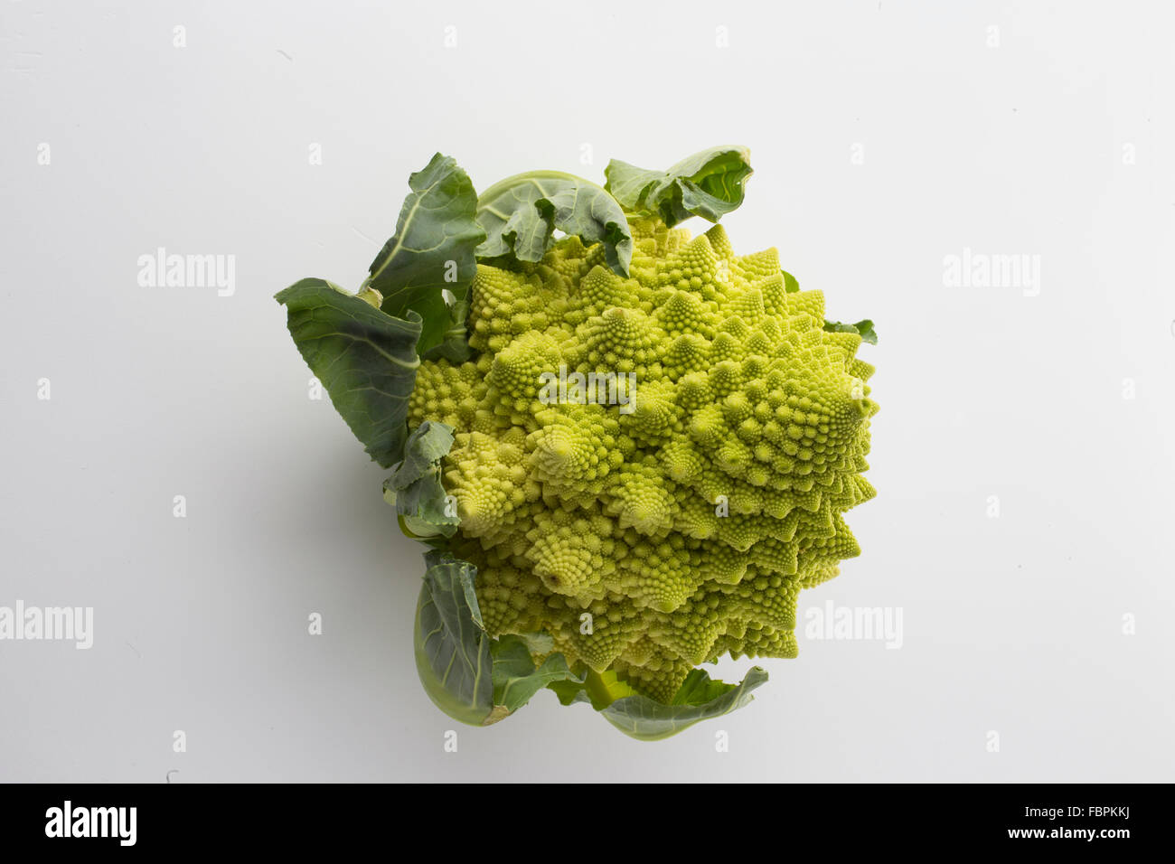 Studio shot di Cavolo broccolo isolato Foto Stock