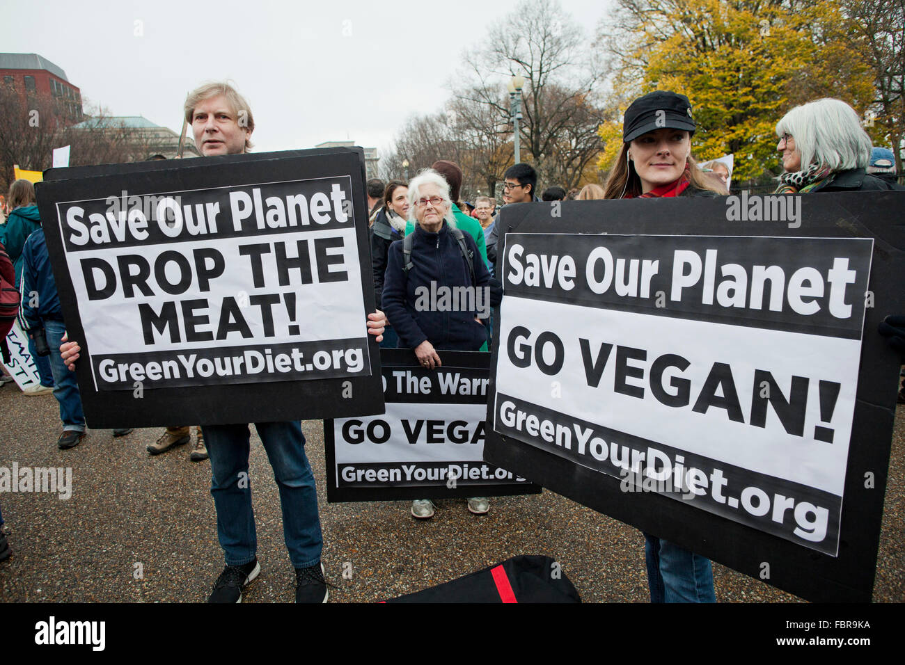 Novembre 21, 2015, Washington DC USA: attivisti ambientali protesta di fronte alla Casa Bianca (donna holding 'Salva il nostro pianeta, Go Vegan " segno) Foto Stock