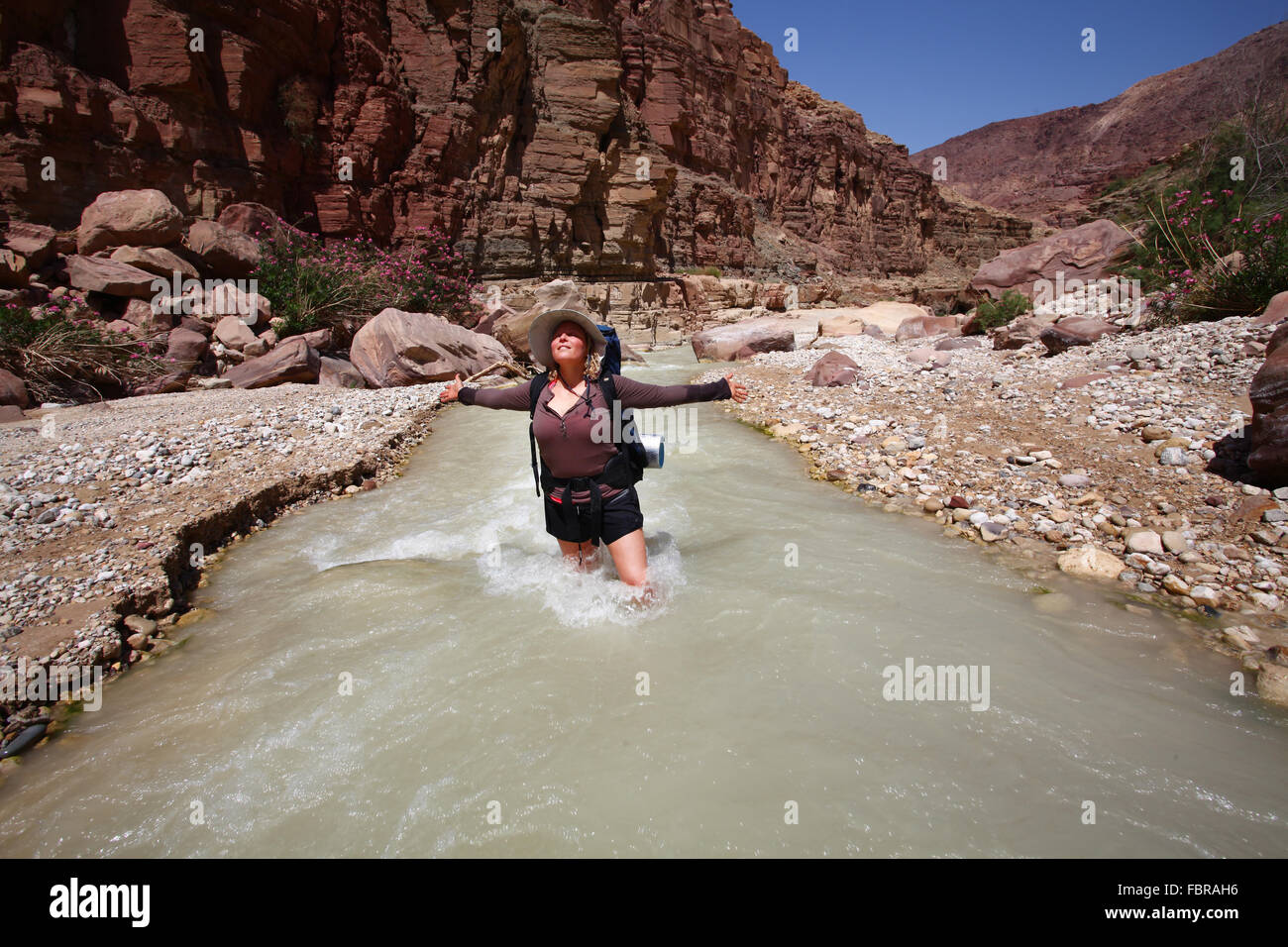 Escursionista femmina di raffreddamento in acqua del torrente Zered (Wadi Hassa o presentauna) nella parte occidentale del Giordano. Una pietra arenaria canyon con fres Foto Stock