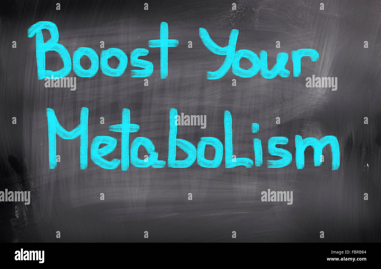 Concetto di metabolismo Foto Stock