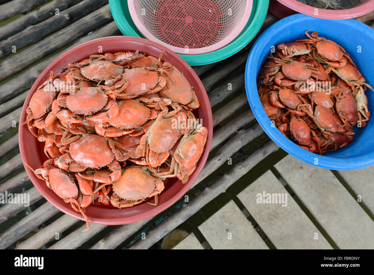 Pila di grande granchio al vapore dalla famiglia pacchetto cena Foto Stock