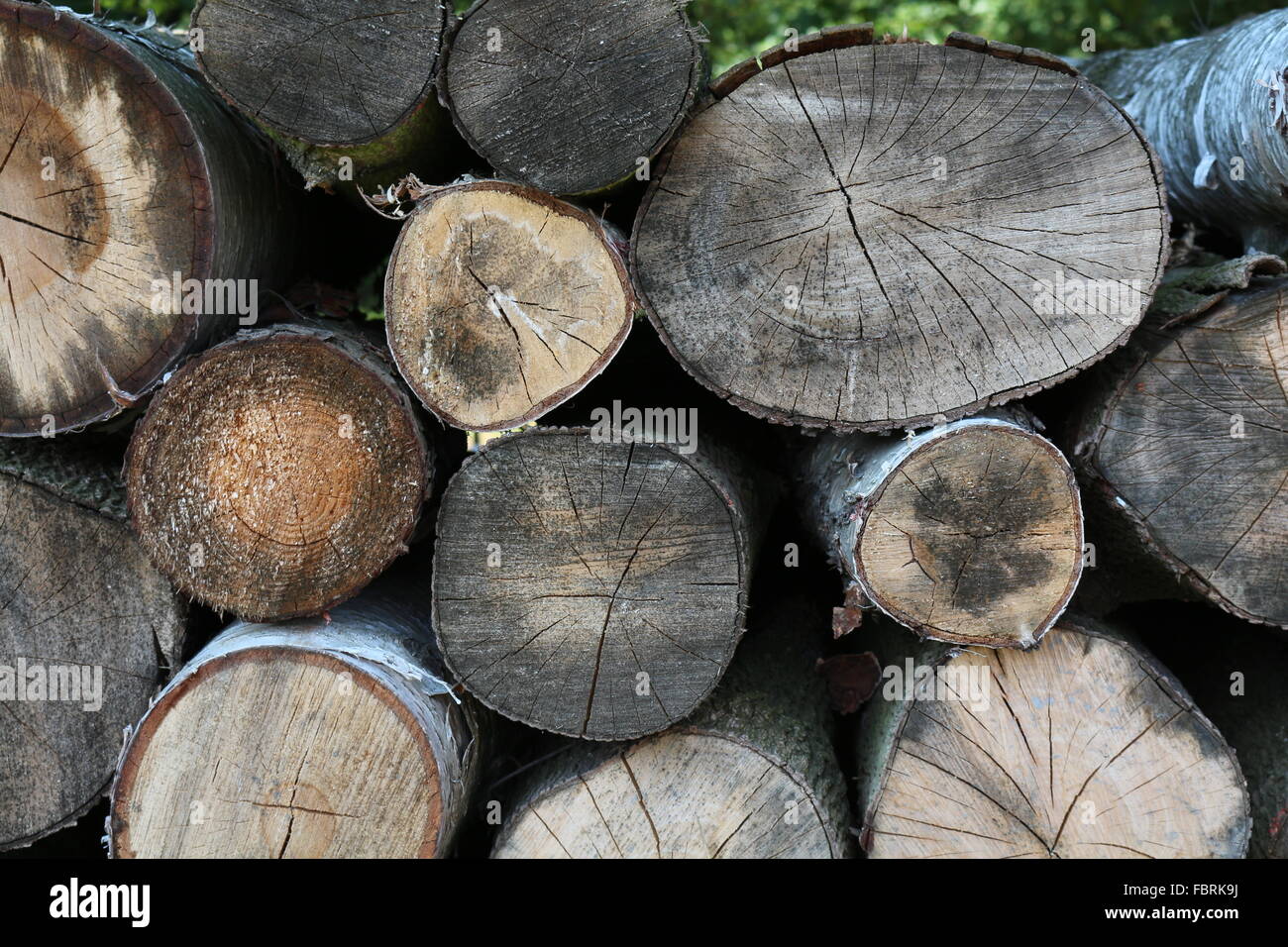mucchio di legno Foto Stock