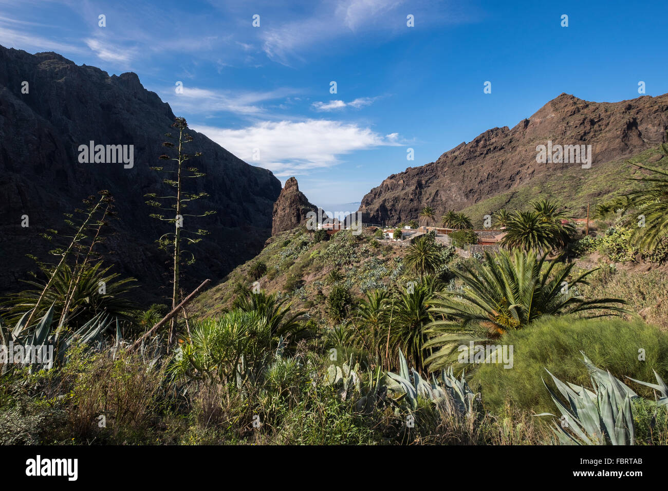 Il villaggio di Masca nascosto nel Masca barranco sulla costa occidentale di Tenerife al di sopra del Gigantes scogliere, Isole Canarie, Spagna Foto Stock