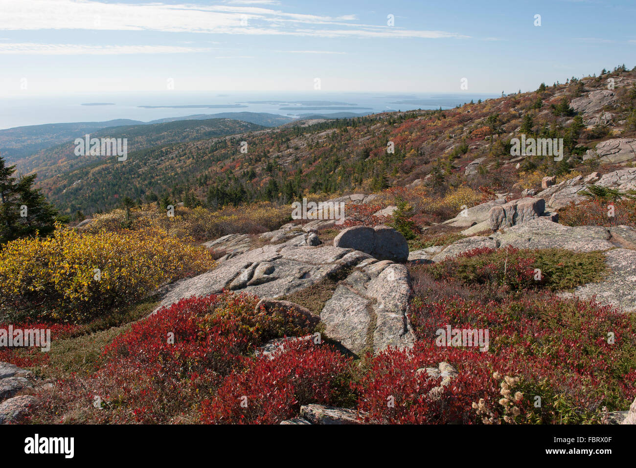 Collina litoranea, Parco Nazionale di Acadia, Maine, Stati Uniti d'America Foto Stock