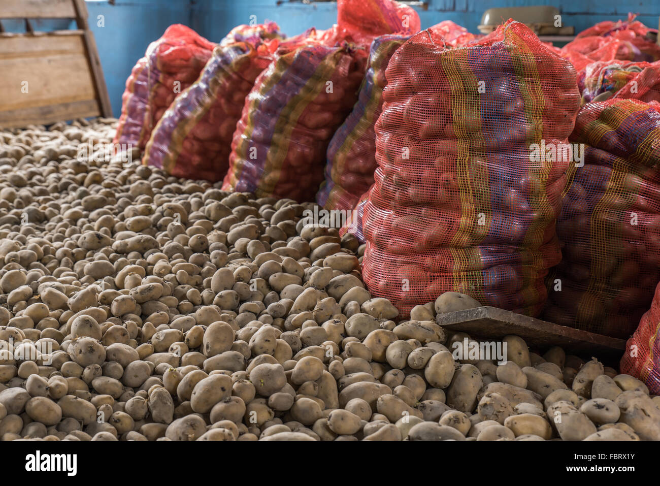 Più vibrante di sacchi di patate e patate allentato il coperchio del pavimento di un ripostiglio. Un cibo di graffa in India. Assam, India. Foto Stock