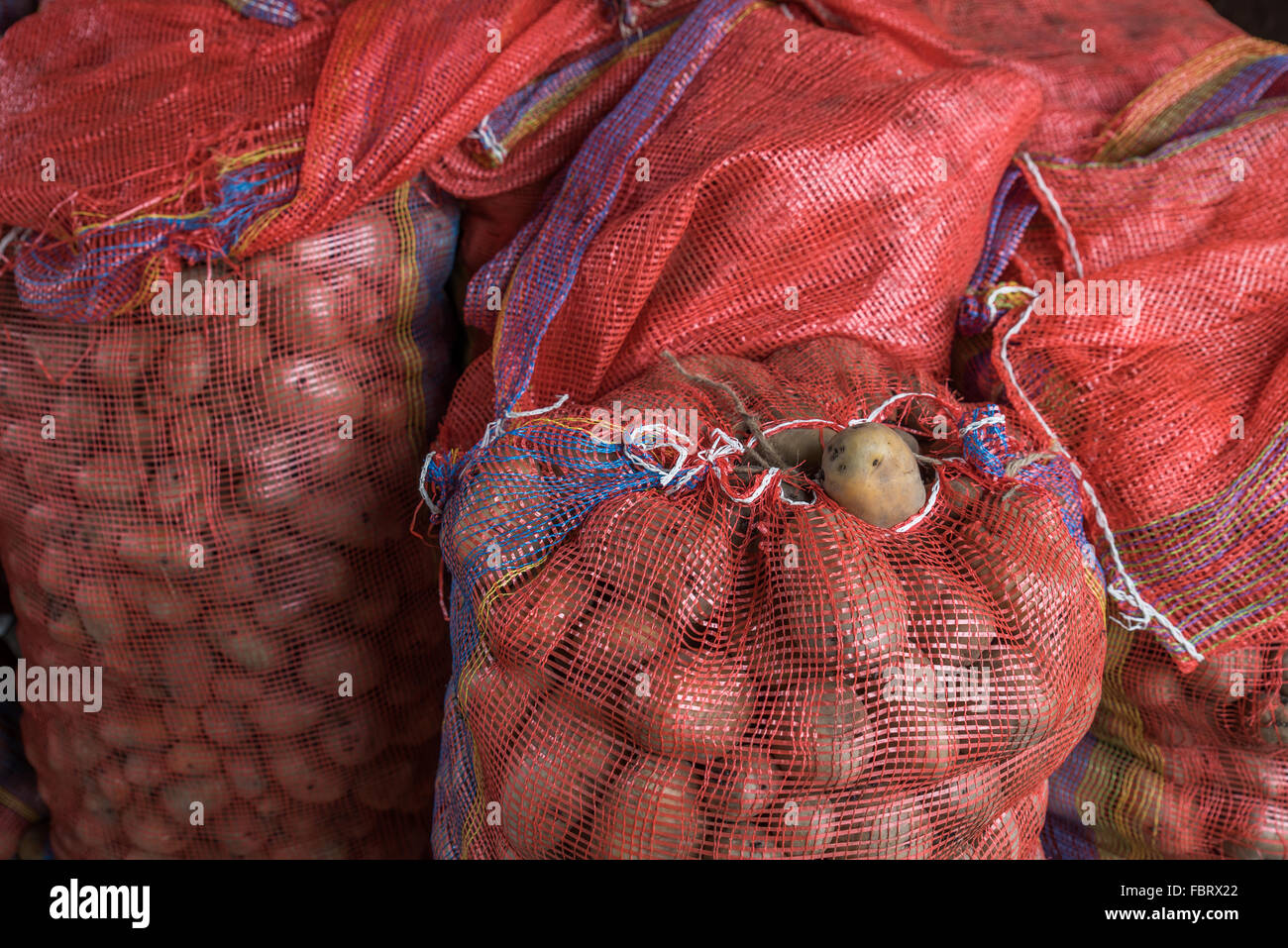 Più palpitante rosso sacchi di patate coprire il pavimento di un ripostiglio. Un cibo di graffa in India. Assam, India. Foto Stock