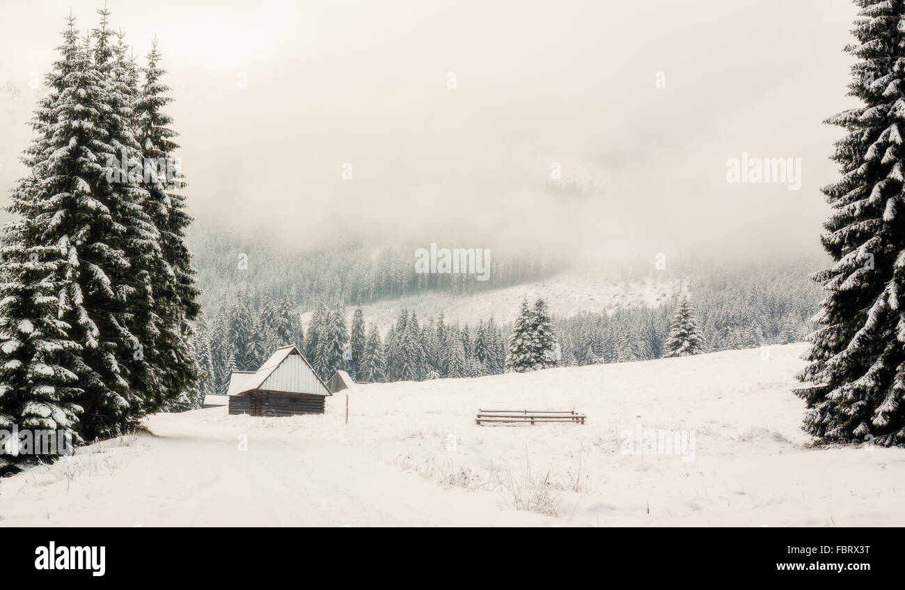 Nebbiose giornate invernali nel Parco nazionale dei Alti Tatra, Polonia. Foto Stock