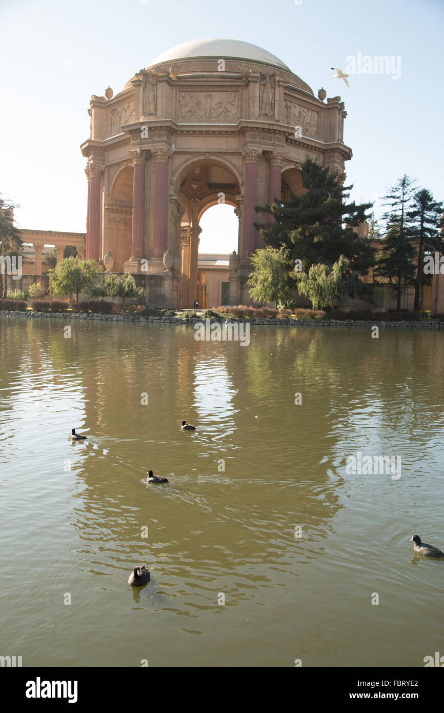 Una cattura del riflesso del Palazzo delle Belle Arti di San Francisco, con anatre nuotare intorno in primo piano. Foto Stock