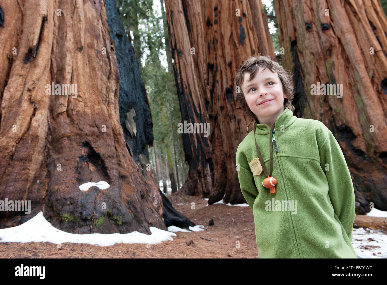 Ragazzo in piedi di fronte a giganteschi alberi di Sequoia e Kings Canyon National Parks, CALIFORNIA, STATI UNITI D'AMERICA Foto Stock