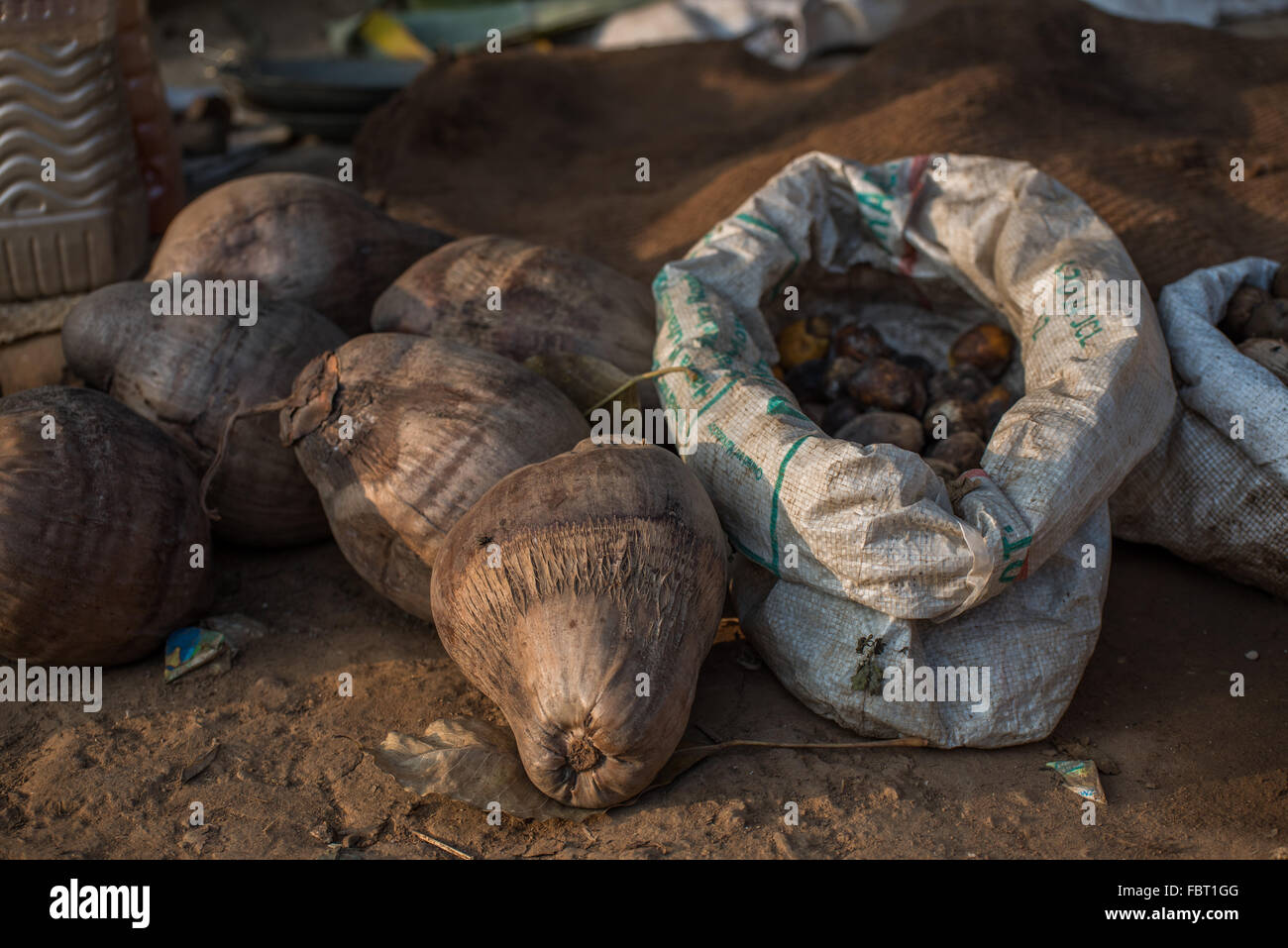 Essiccato gusci di noce di cocco e squallido sacchi bianchi di frutta e i dadi per la vendita, catturati nel morbido presto luce della sera. Il Nagaland, India. Foto Stock