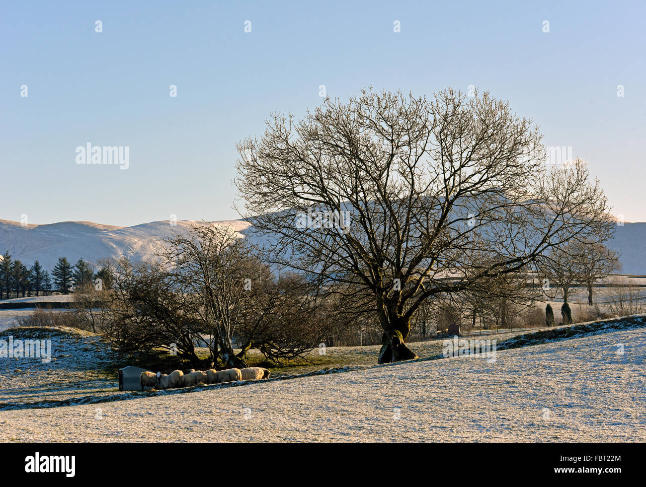 Il Howgill Fells in inverno. Lowgill, Cumbria , Inghilterra , Regno Unito , in Europa . Foto Stock