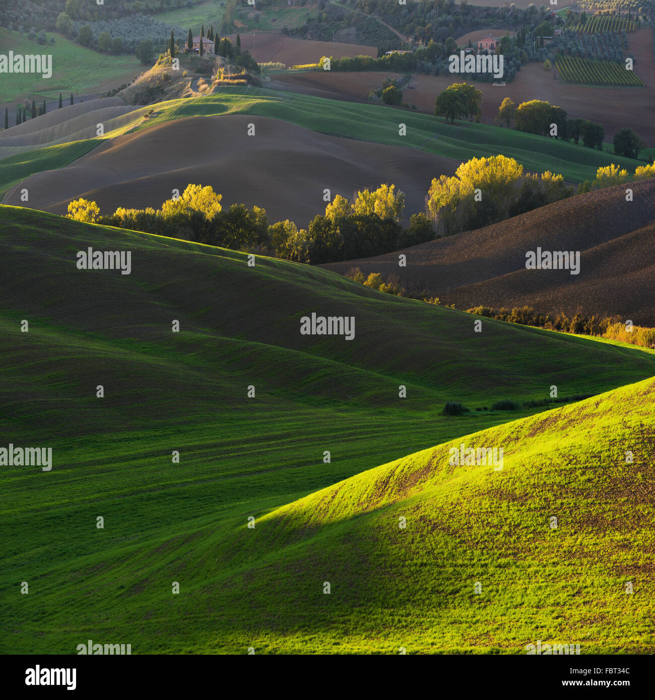Molla colorato paesaggio rurale in Toscana, Italia Foto Stock