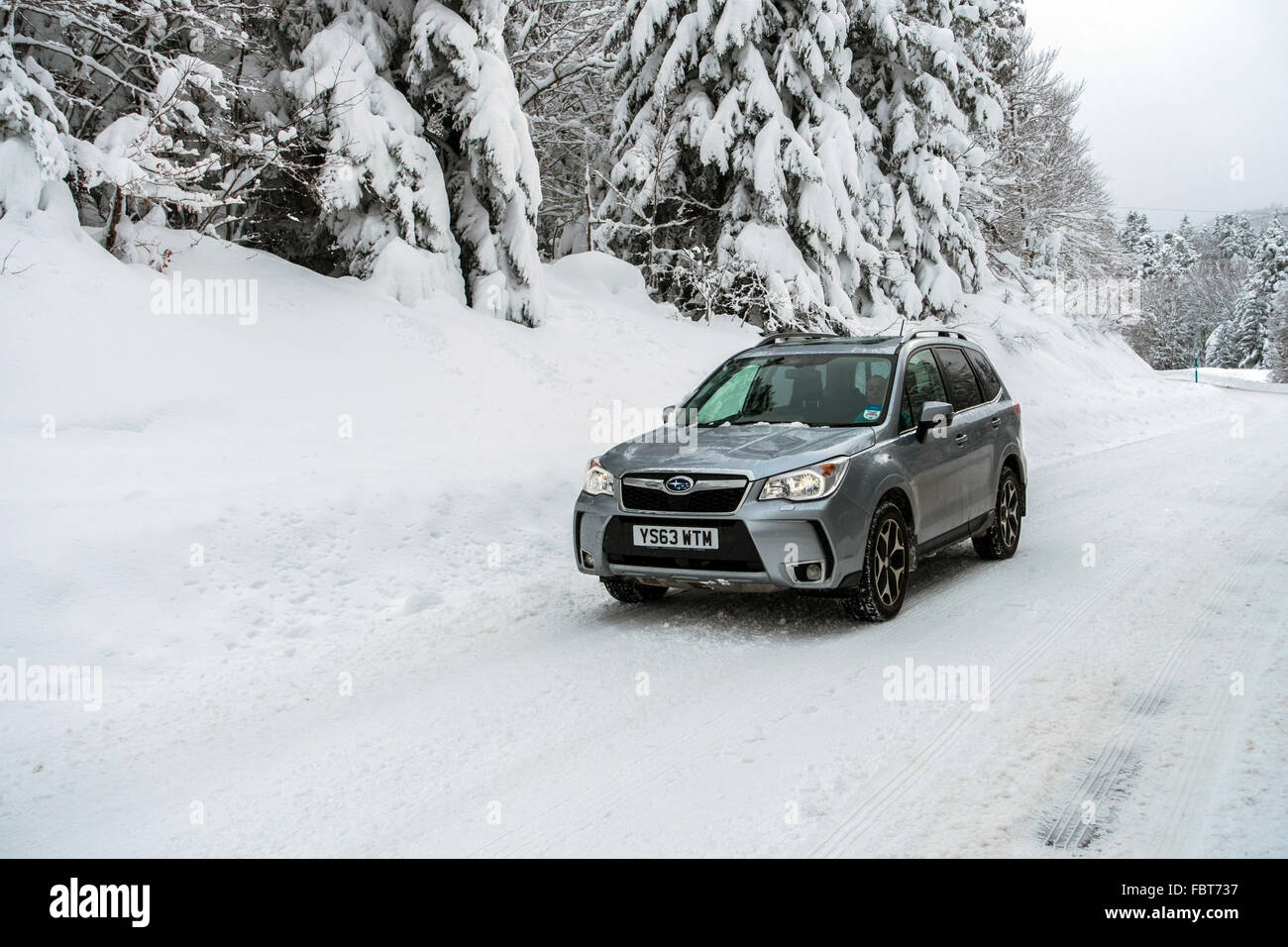Subaru Forester 4 x 4 su strada ghiacciata con neve coperto da alberi di pino Foto Stock