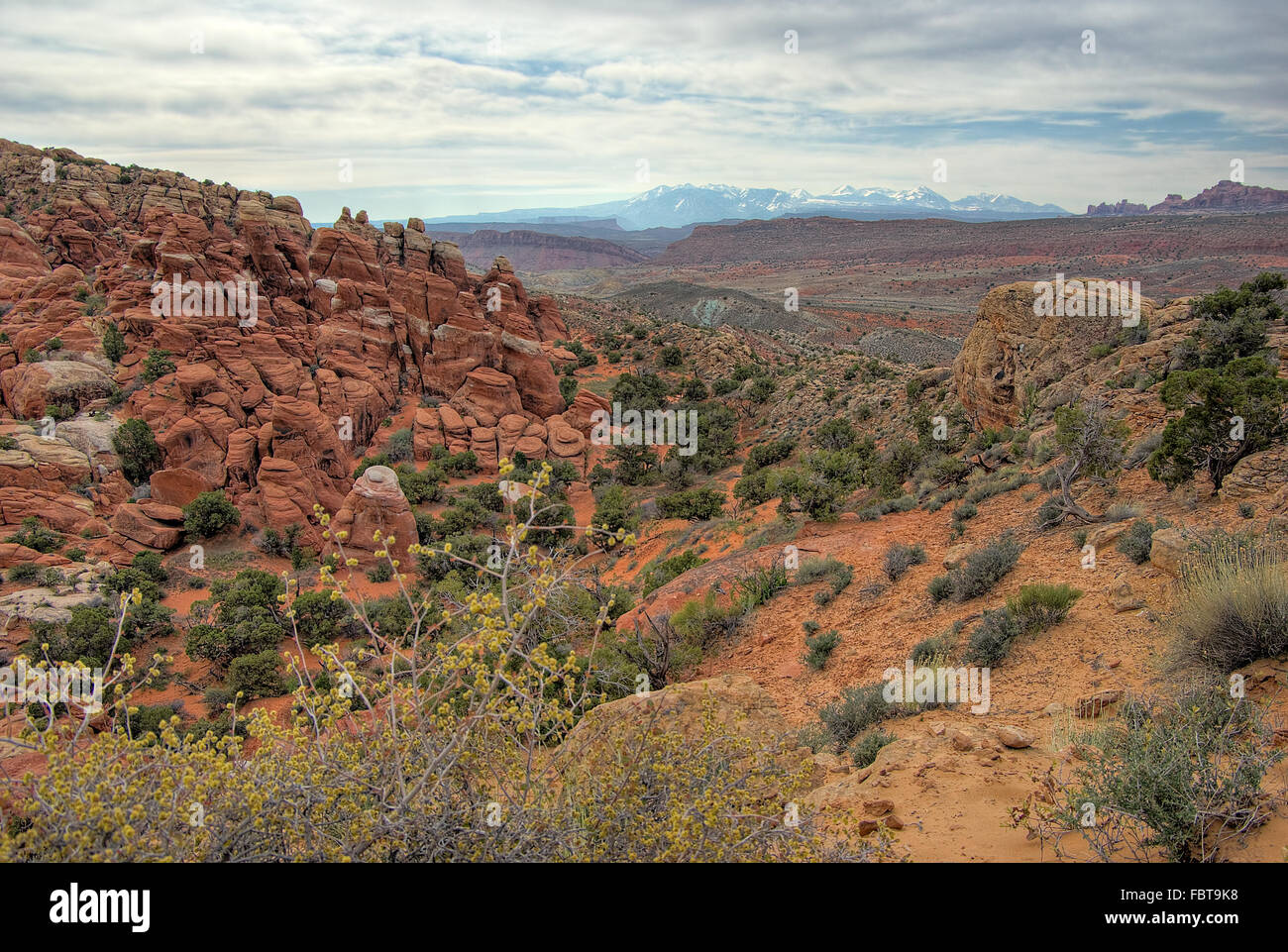 Vista del deserto Foto Stock