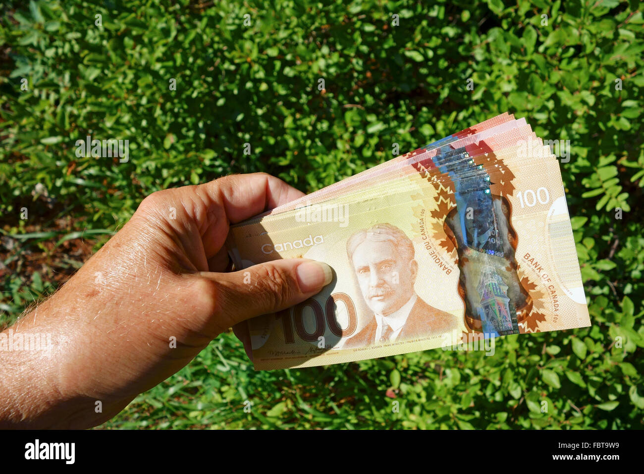Una pila di 100 Canadian Dollar Bills tenuto in una mano di fronte ad una siepe Foto Stock