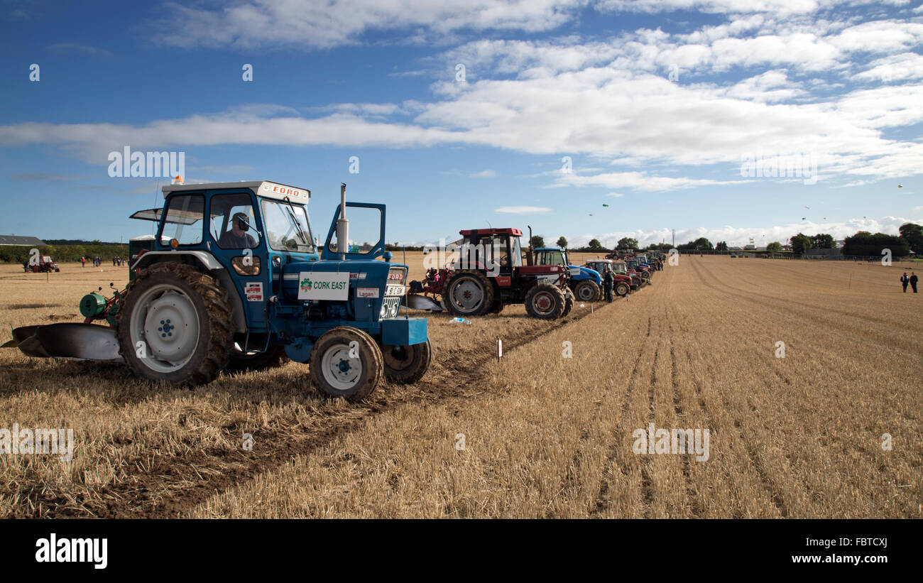 I trattori si sono allineati per arare un campo al National Ploughing Championship in Irlanda. Foto Stock