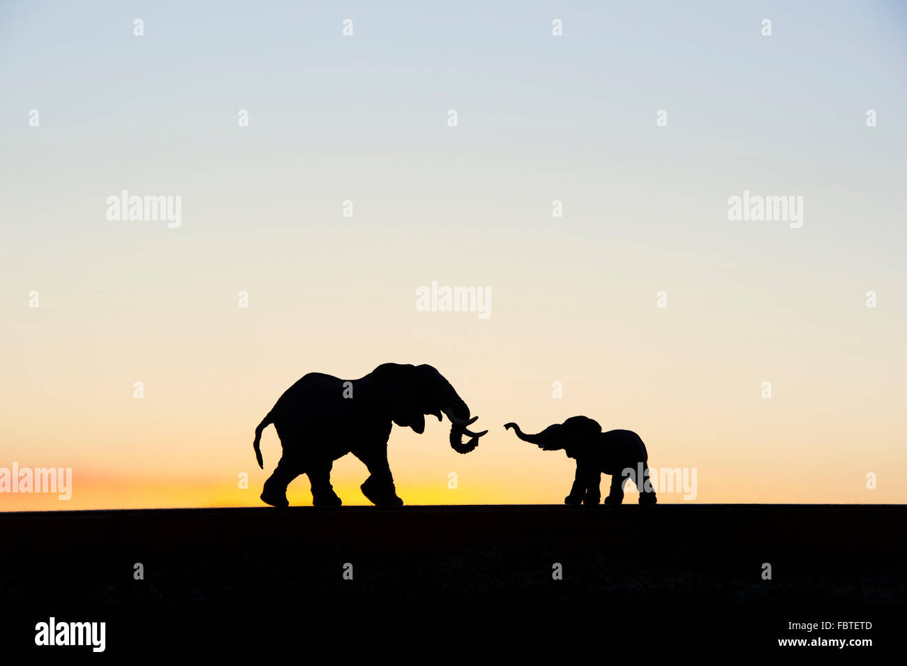 Modello giocattolo elefanti silhouette contro un cielo alba Foto Stock