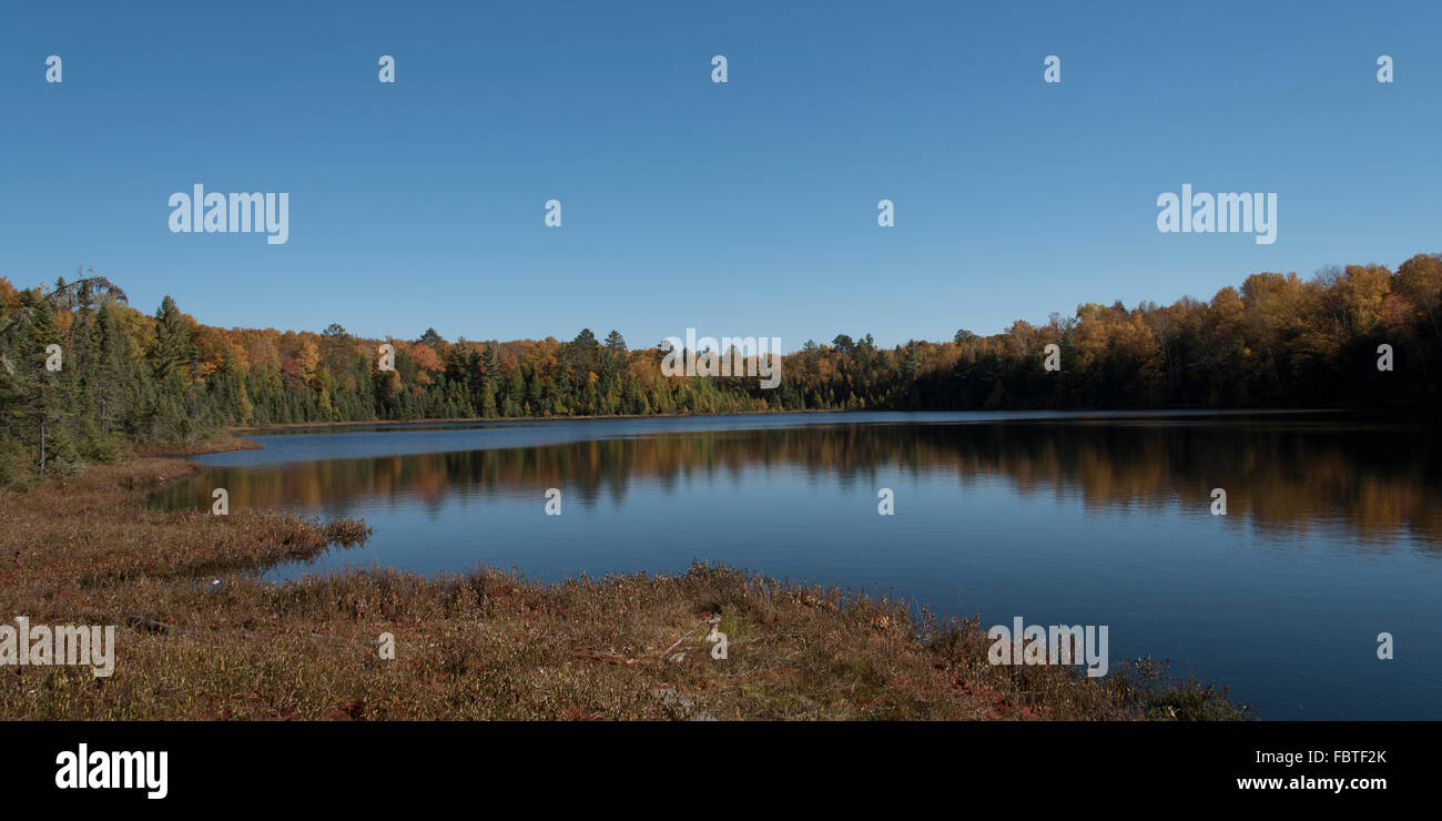 Autunno arriva a un lago circondato da un bog e foresta. Foto Stock