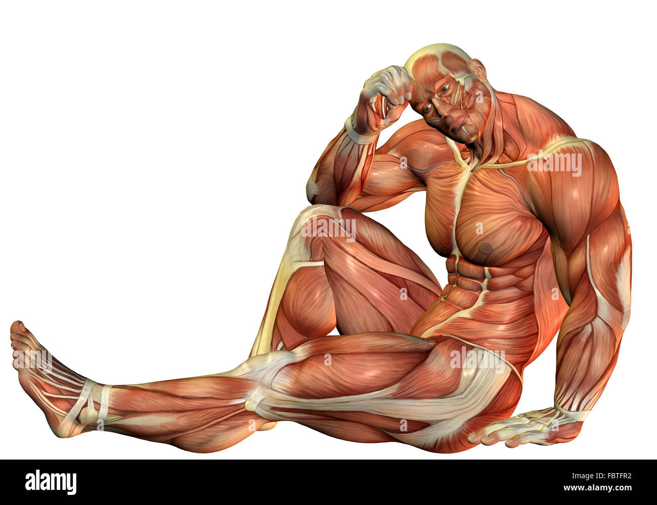 Muscle Body Builders in una posa seduto Foto Stock