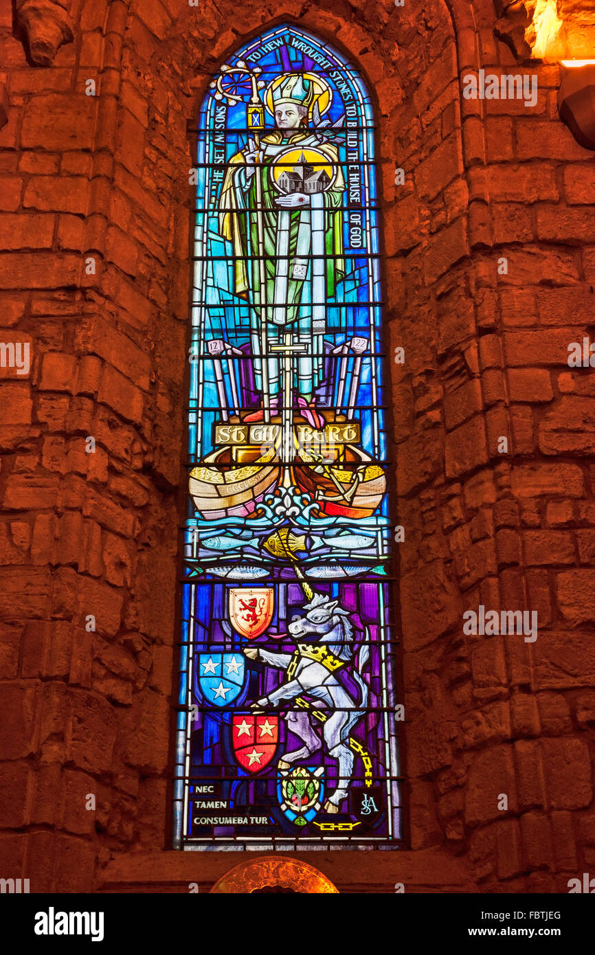 Interno, vetrate, Dornoch Cathedral, Sutherland, Scotland, Regno Unito Foto Stock
