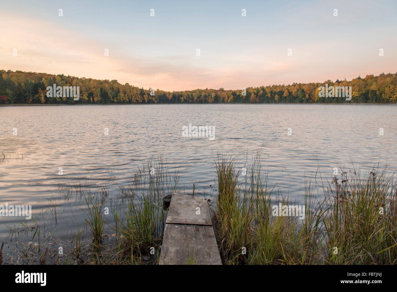 Un lago con una foresta circostante in autunno colori in Wisconsin. Un piccolo dock boscose si estende dalla riva. Foto Stock