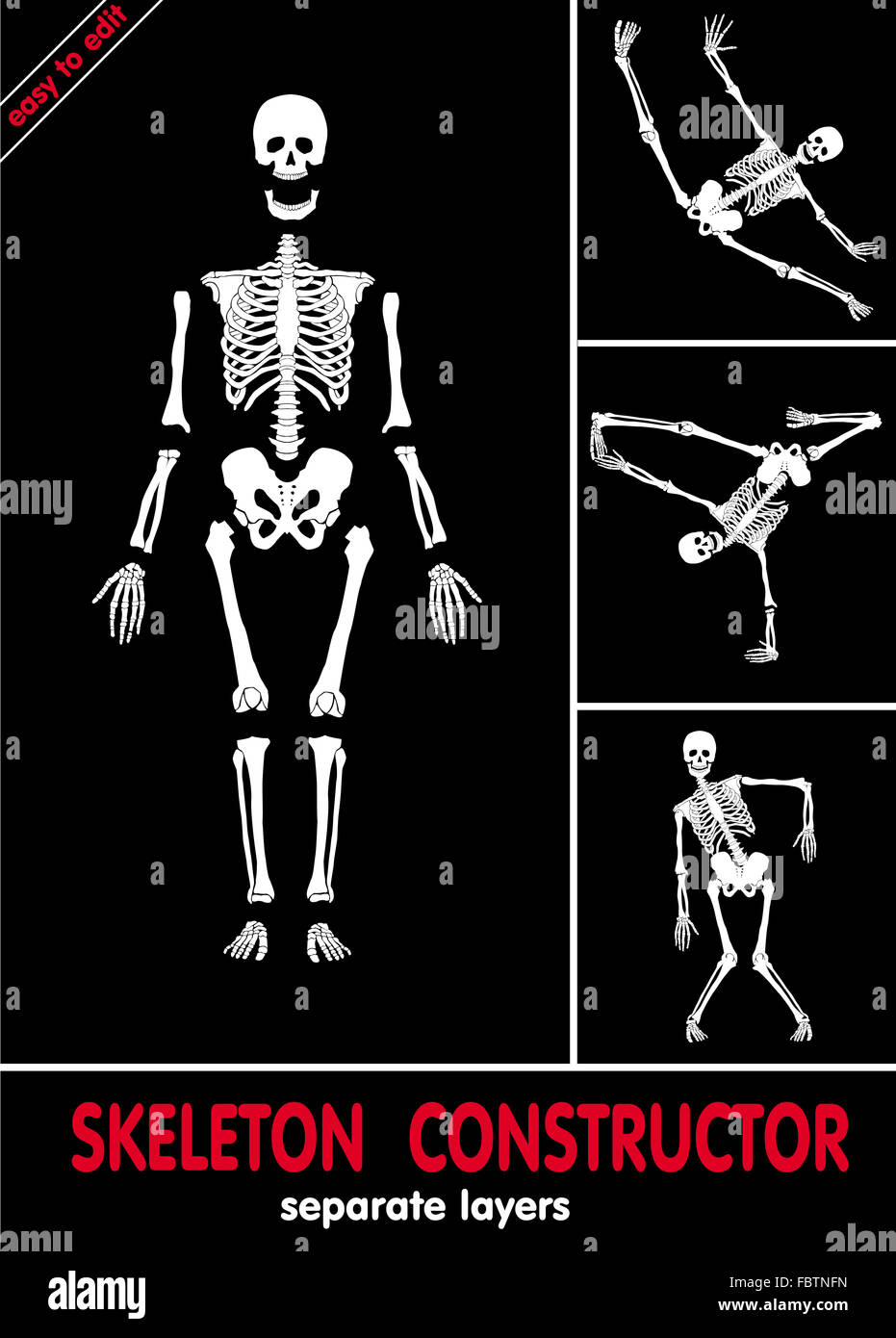 Costruttore di scheletro Foto Stock