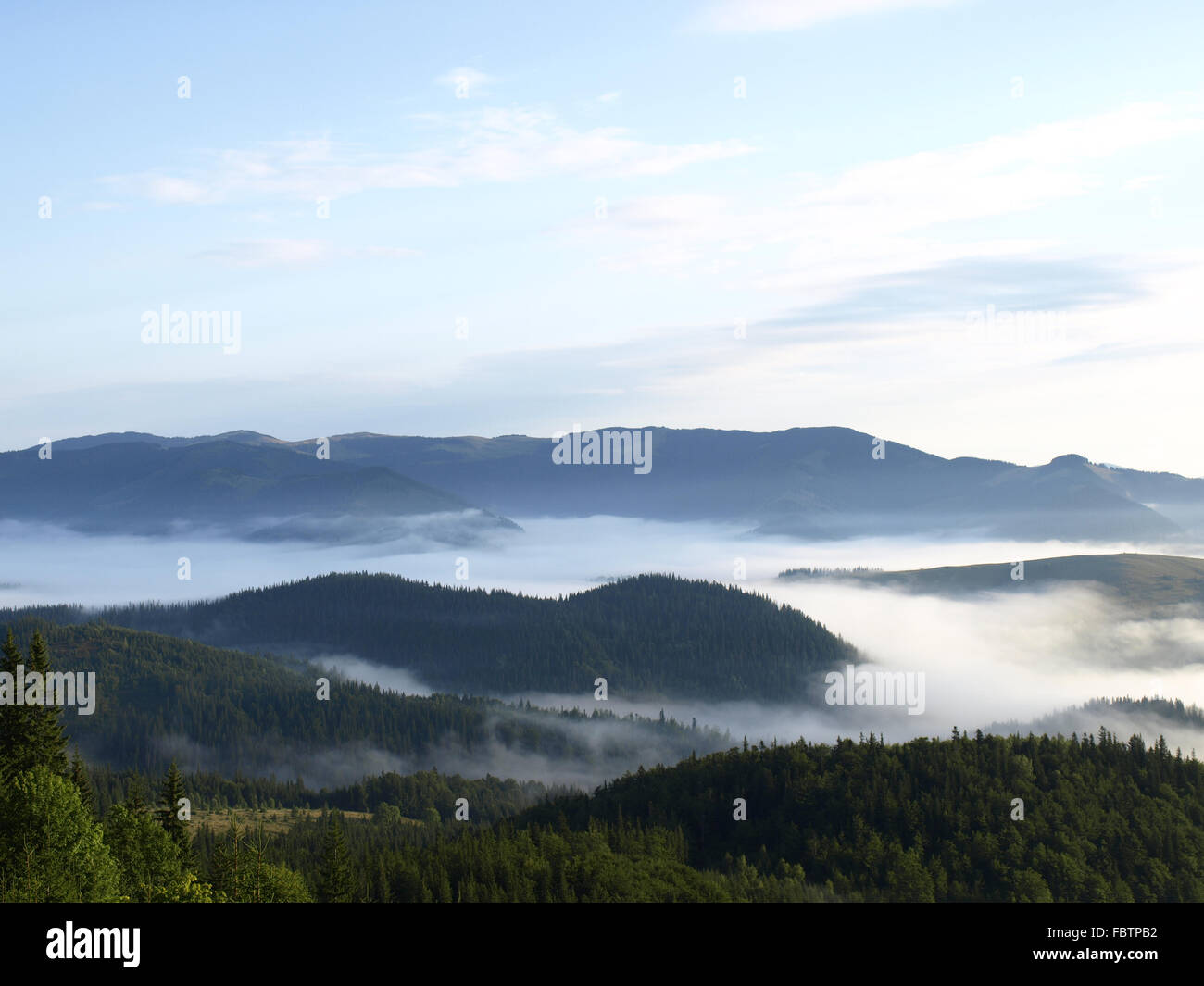 Misty valle nelle montagne boscose Foto Stock