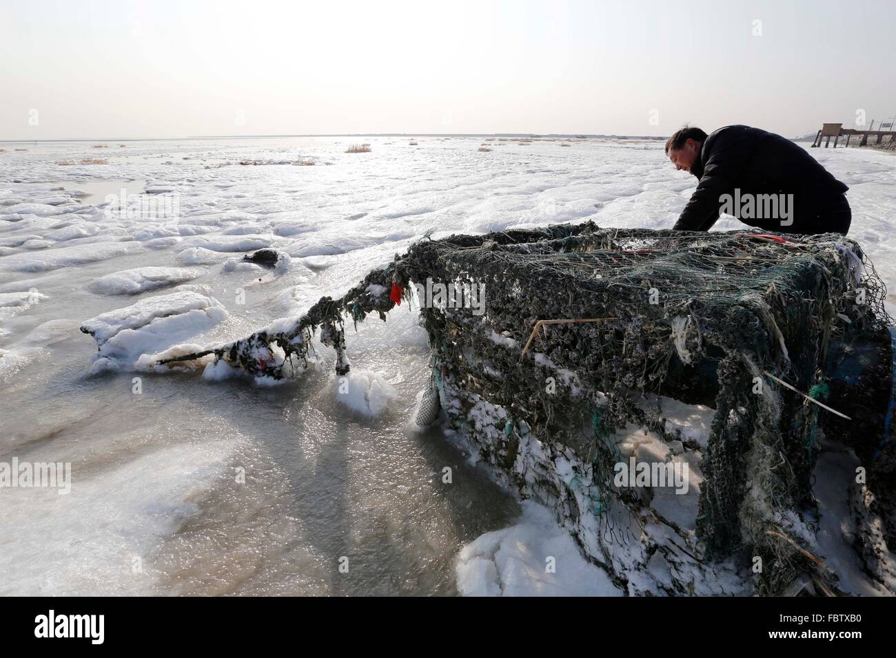 Cina. 19 gennaio, 2016. Un pescatore controlla la sua coltivazione acqua impianto di trasporto che vengono congelate dal mare di ghiaccio in Lianyungang, est cinese della provincia di Jiangsu, Gennaio 19, 2016. La maggior parte delle parti della Cina sarà l'esperienza di un rapido calo delle temperature lungo con pioggia e neve nei prossimi giorni come un forte fronte freddo è sulla strada e interromperà il viaggio per il prossimo Festival di Primavera, che cade il 8 febbraio di quest'anno. Credito: Xinhua/Alamy Live News Foto Stock