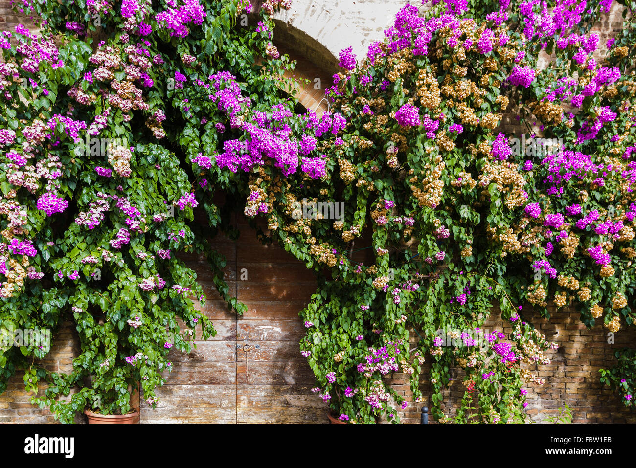Porte in forme insolite, Italia, Toscana. Foto Stock