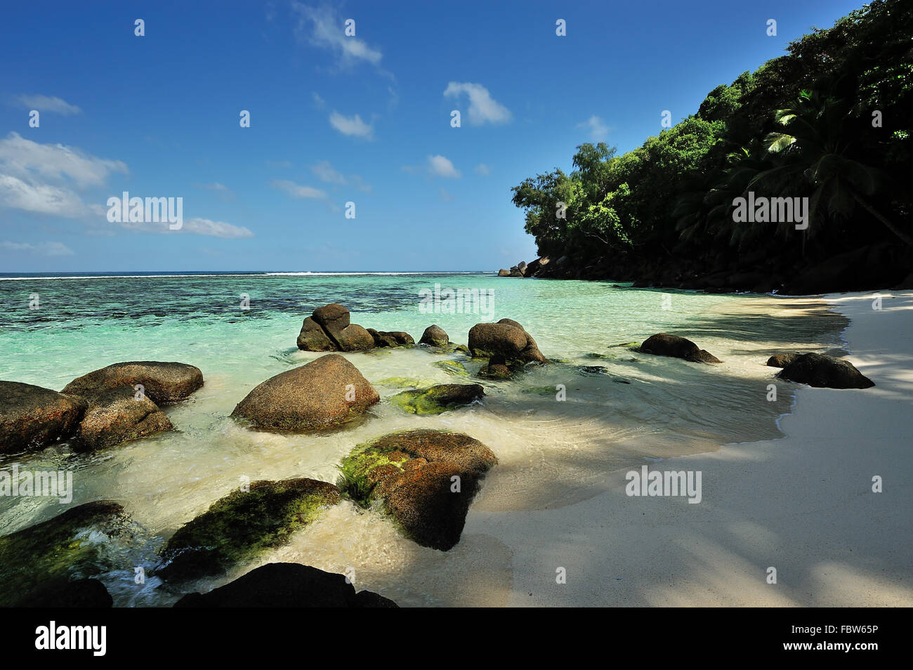 Spiaggia di Anse Marie-Louise di Mahé Foto Stock