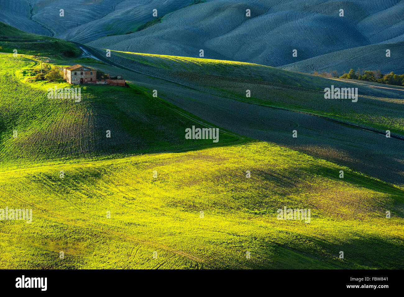 Fantastico soleggiato campo rientrano in Italia, Toscana paesaggio. Foto Stock