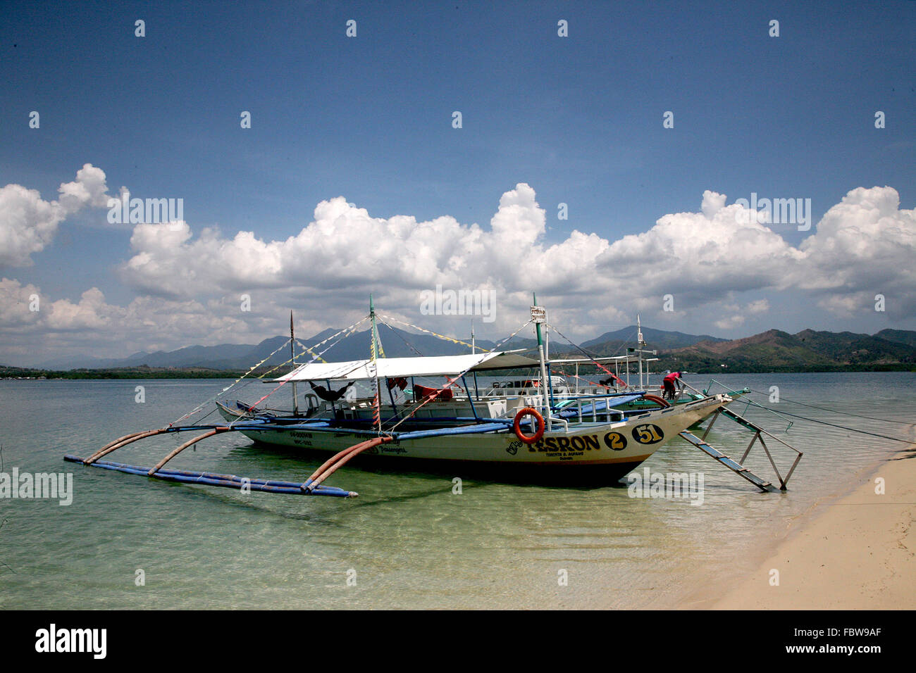 Filippine Palawan Puerto Princesa Cowrie isola in Honda Bay Adrian Baker Foto Stock