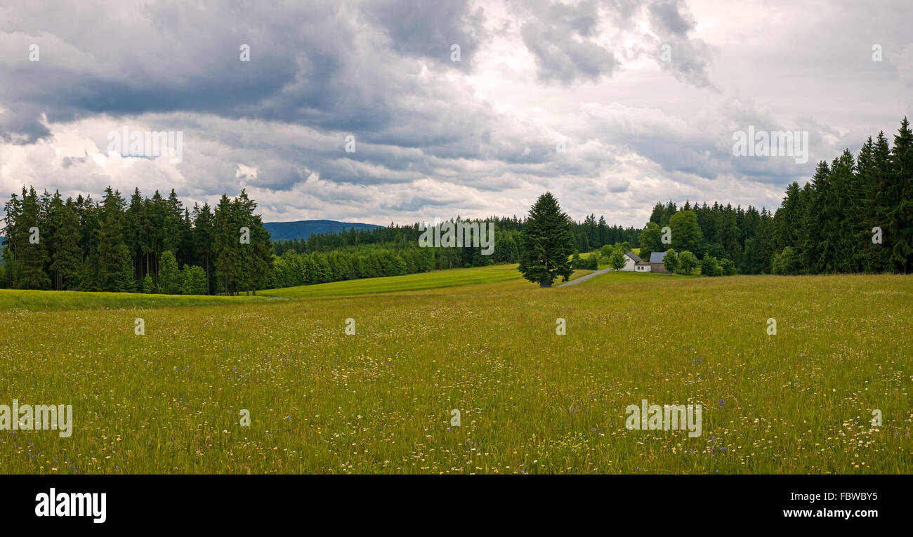 Scenario della foresta della Franconia Foto Stock