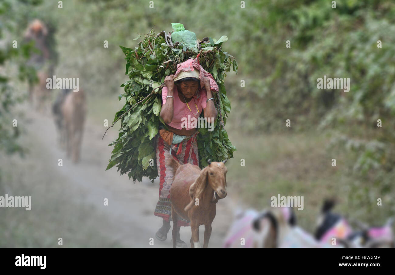 Un pastore donne Foto Stock