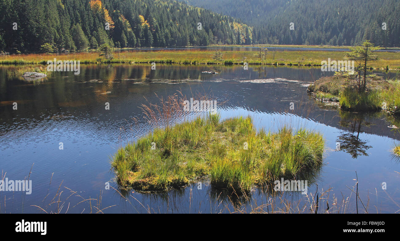 Nuoto isola sul lago Kleiner Arbersee Foto Stock