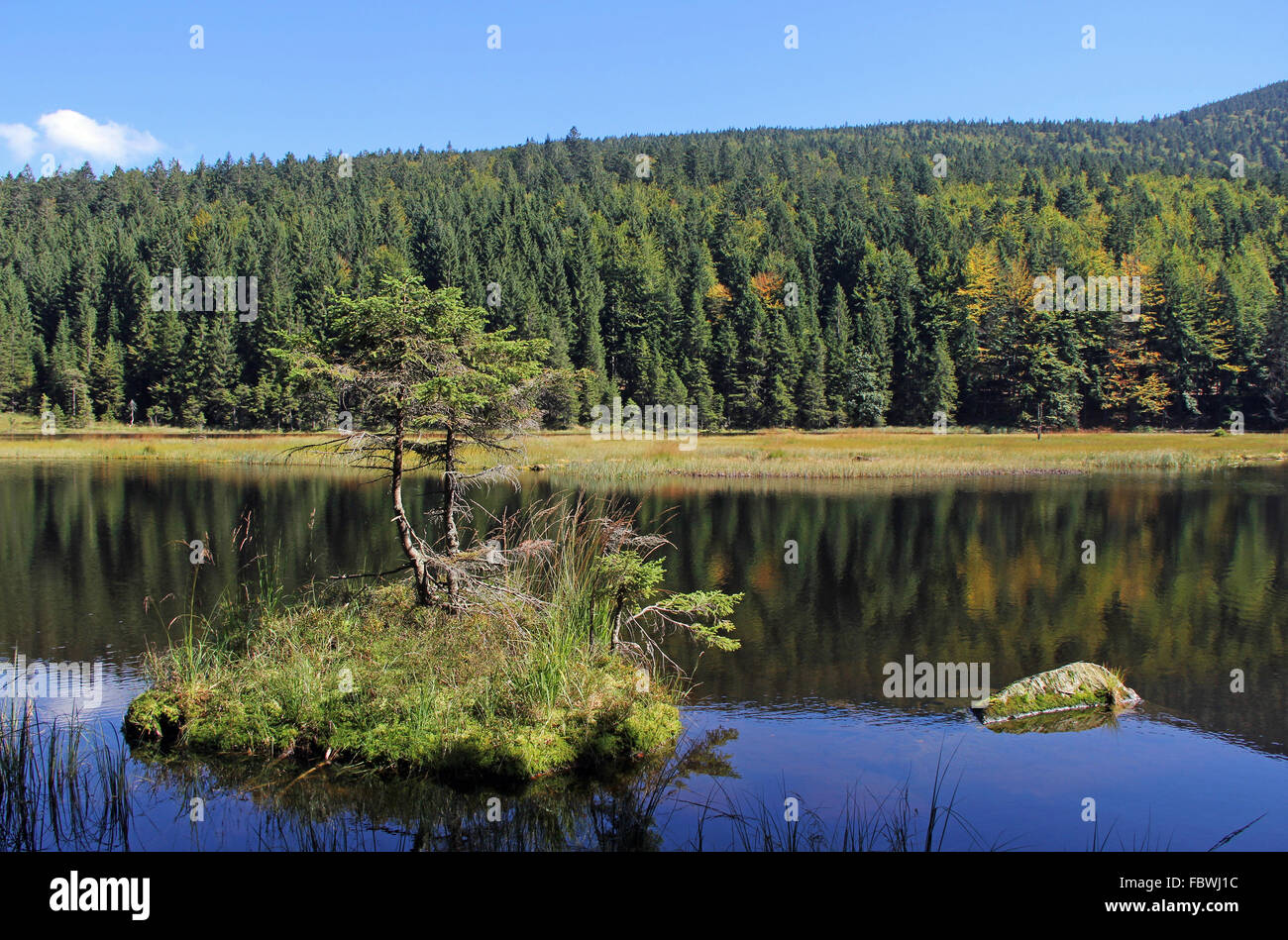 Nuoto isola sul lago Kleiner Arbersee Foto Stock