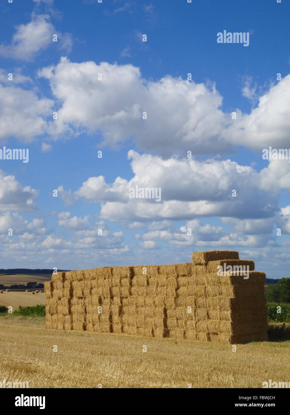 Sfera della paglia Foto Stock