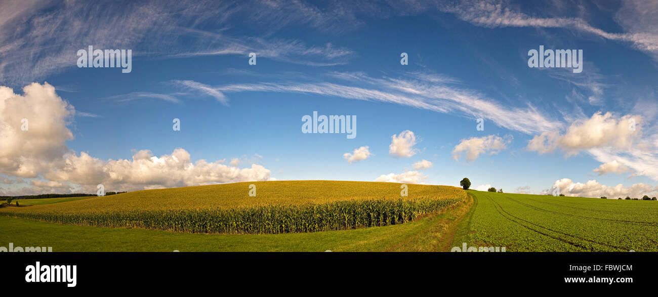 Paesaggio di Hof Foto Stock