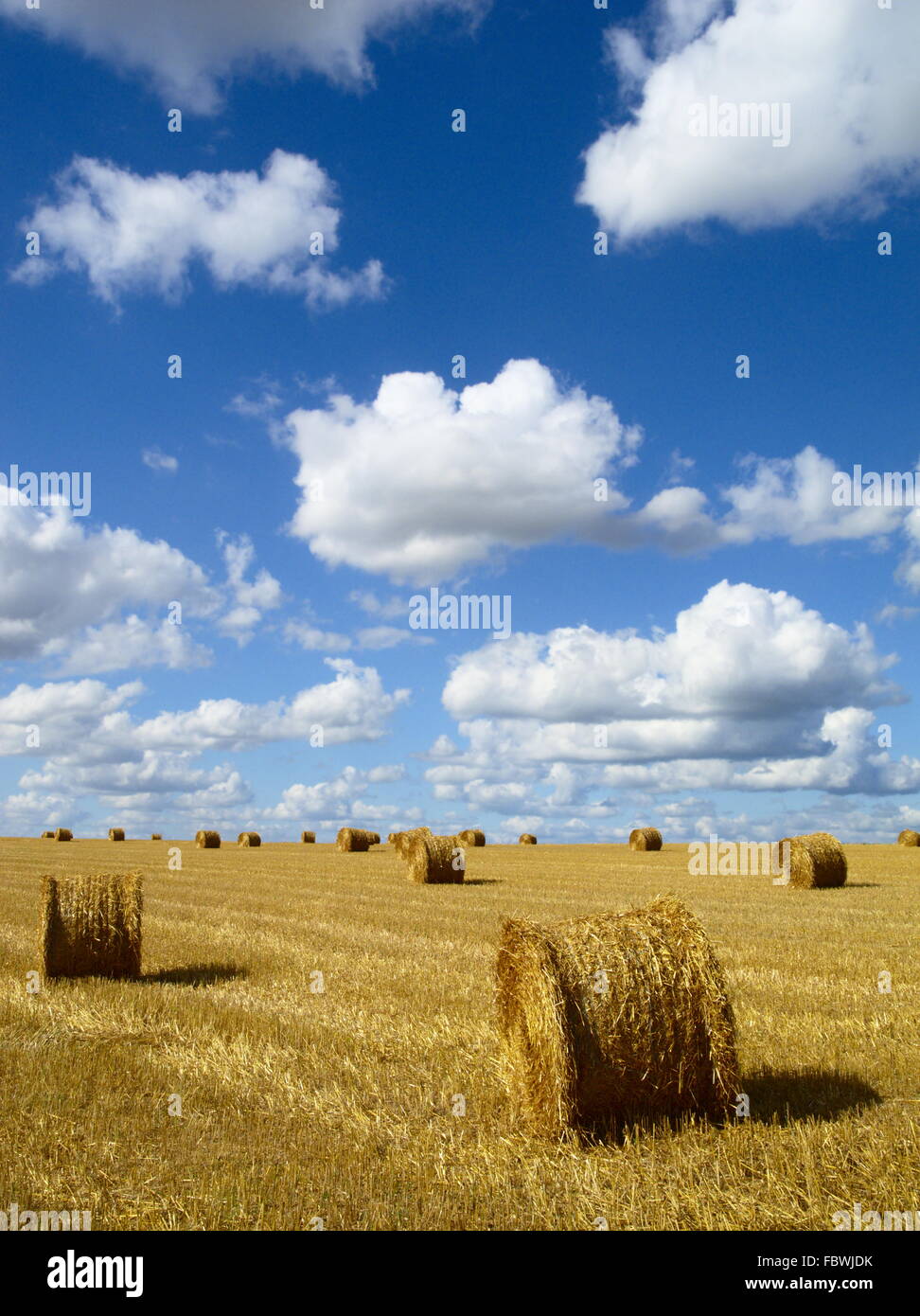 Round di balle di paglia Foto Stock