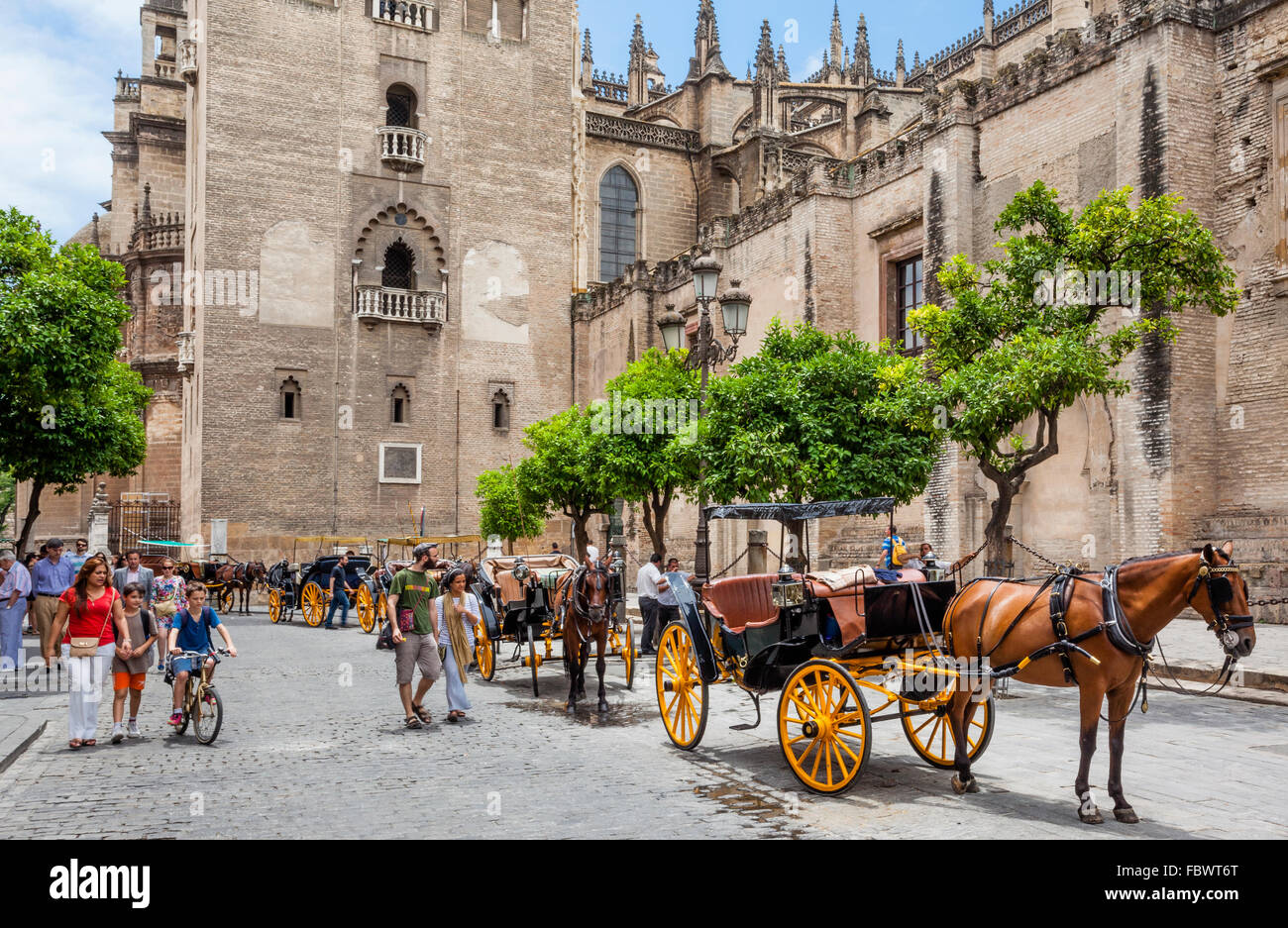 Spagna, Andalusia, provincia di Siviglia, Siviglia, carrozze trainate da cavalli in attesa di tariffe a torre Giralda di Siviglia cattedrale Foto Stock