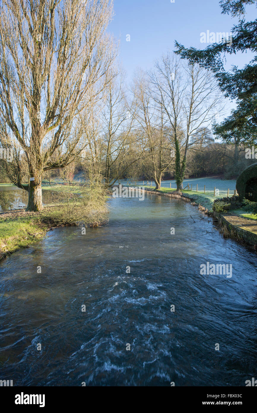 Fiume Coln e allagato prato in Quenington Gloucestershire Foto Stock